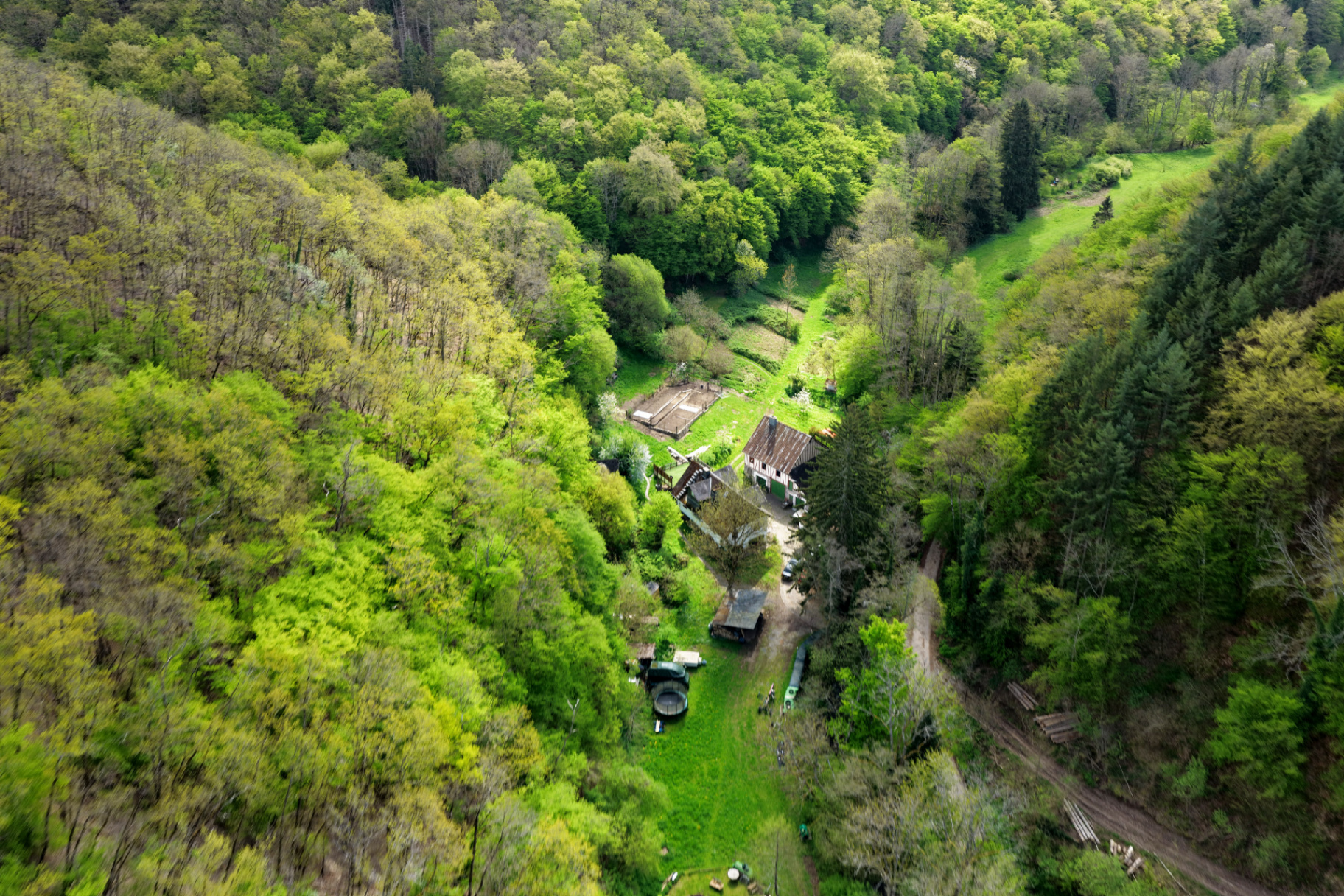 Luftaufnahme der Ehrbachmühle im Wald