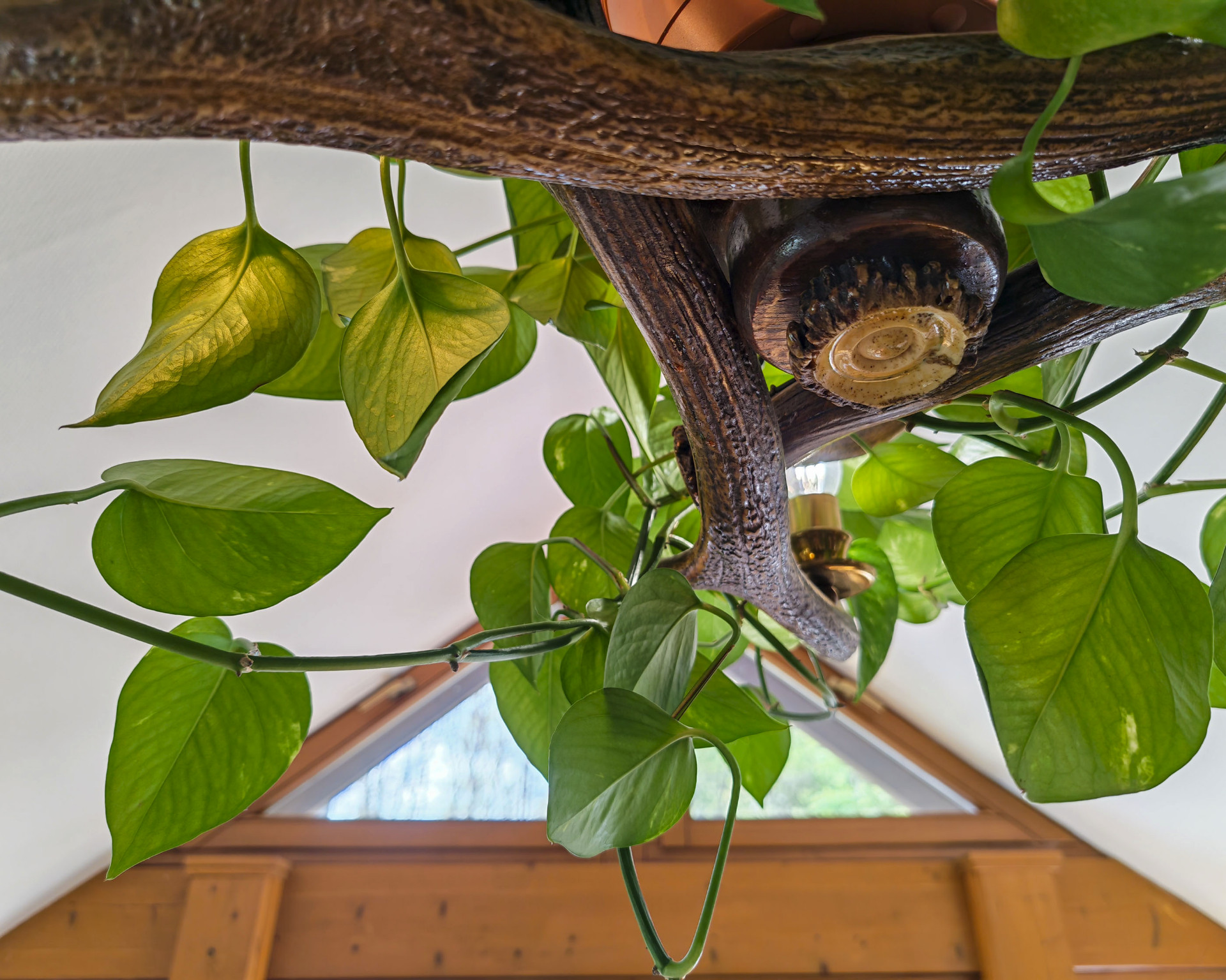 Loft Natur Pur Foto 15