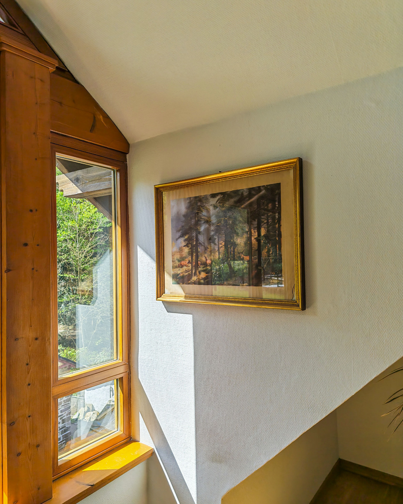 Loft Natur Pur Foto 16