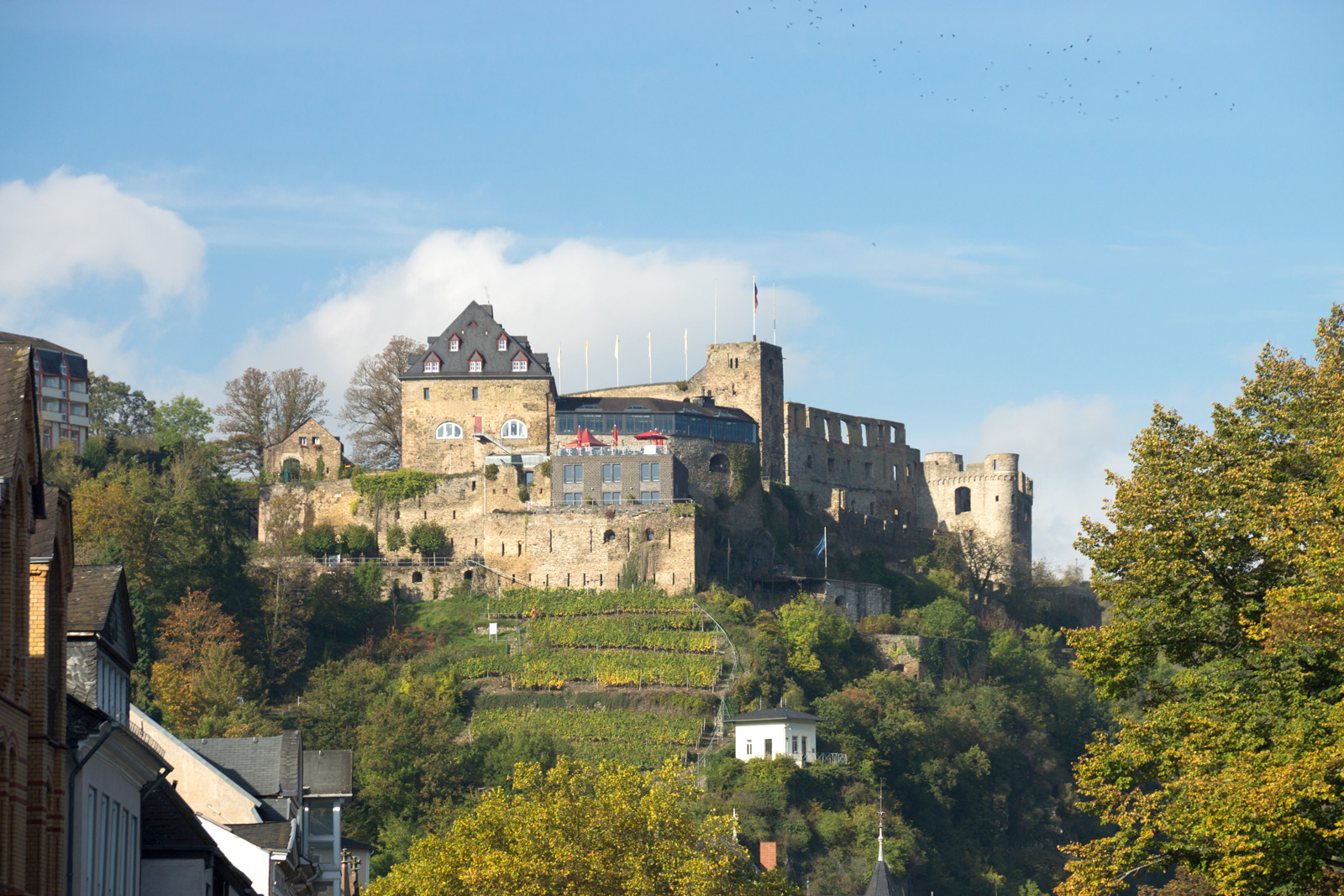 Burg Rheinfels