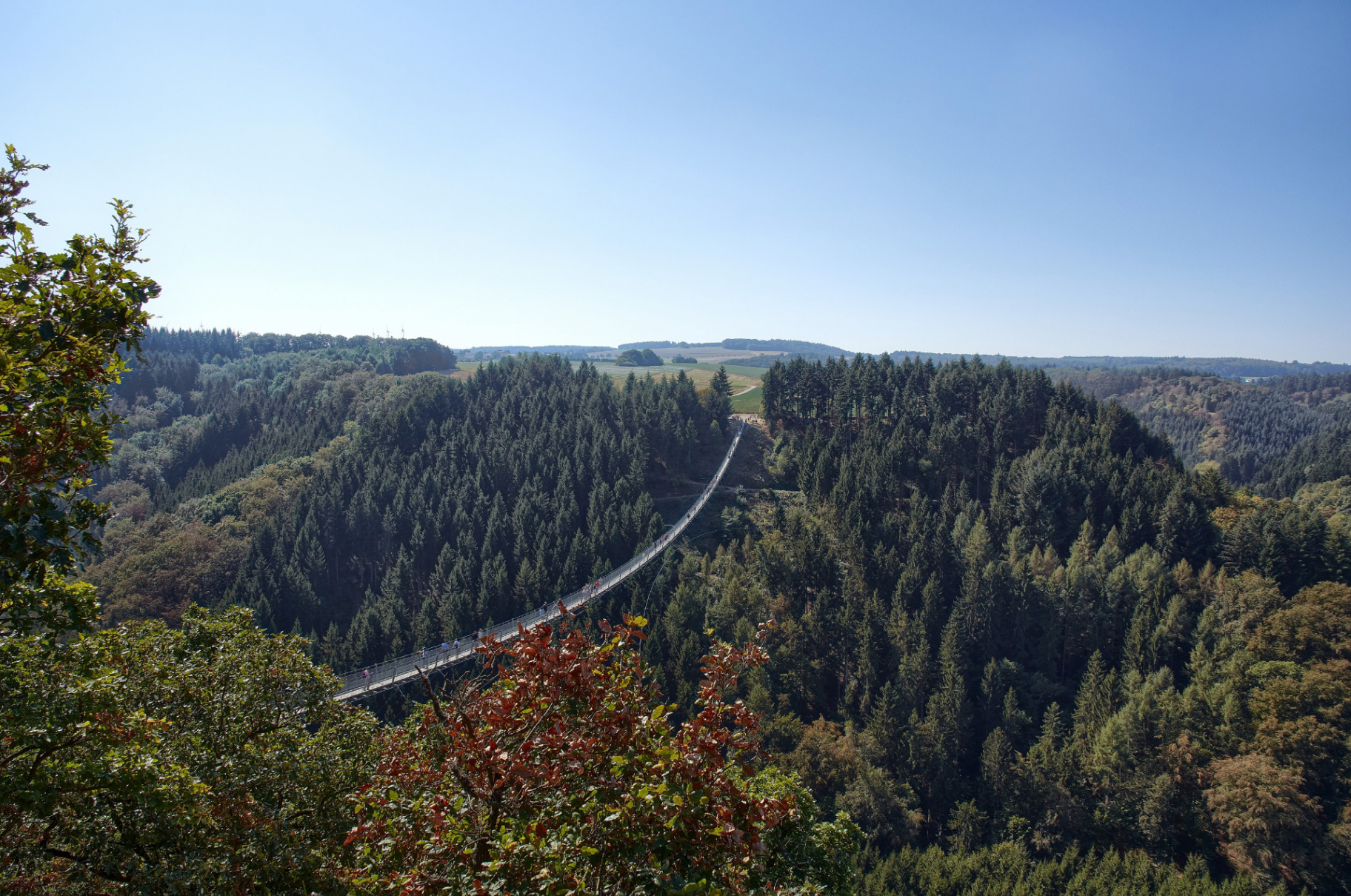 Geierlay Hängeseilbrücke