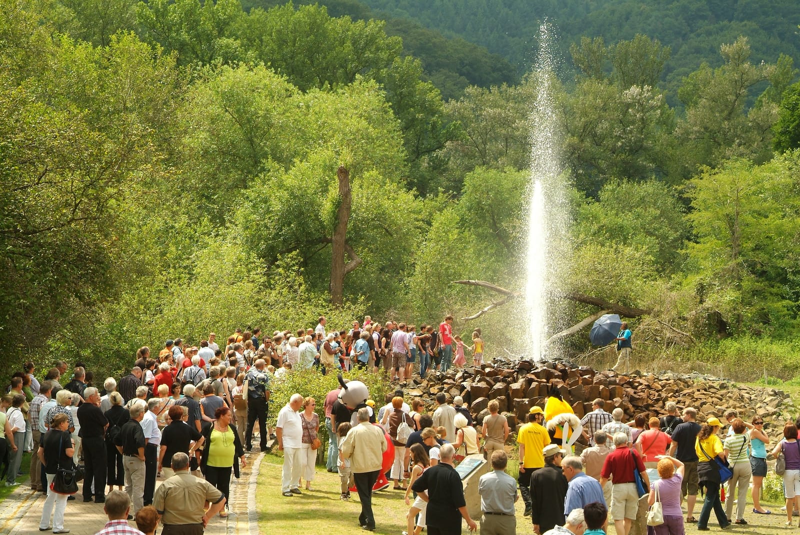 Kaltwasser-Geysir Andernach