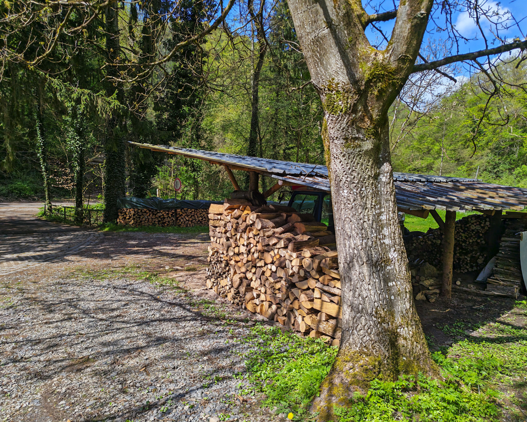 Waldhäuschen Foto 1