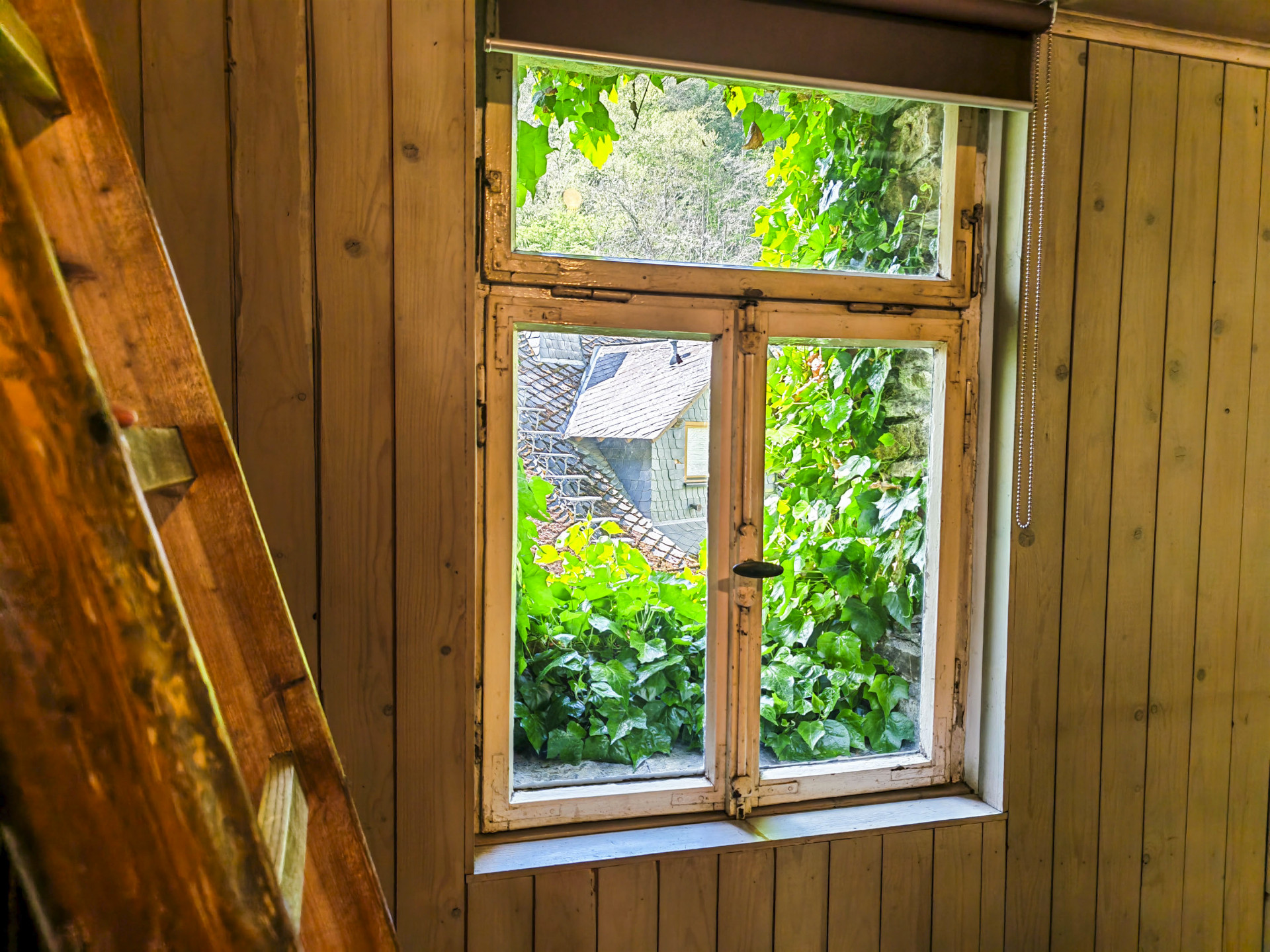 Waldhäuschen Foto 7